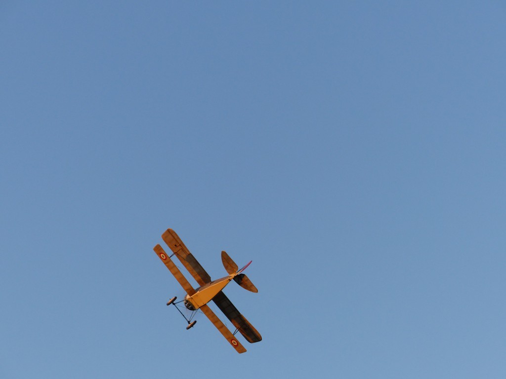 l'oiseau est maniable